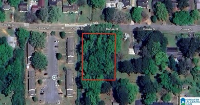 205 W Coosa St unit 13 and 14, Sylacauga, AL 35150 - photo 2