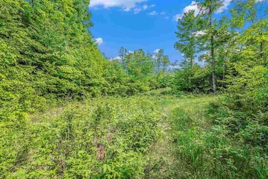 Lot 3 High Pines Trail, Boyne City, MI 49712 - photo 2