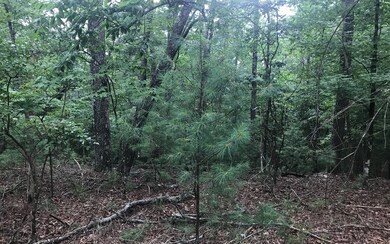 LT541 Tonto Dr, Ellijay, GA 30540 - photo 4