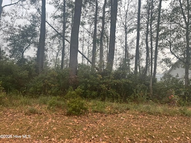 1170 Wilson Ave SW, Calabash, NC 28467 - photo 3