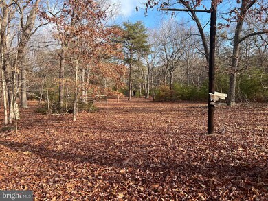 477 Lummistown Rd, Cedarville, NJ 08311 - photo 2