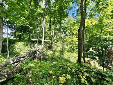 W Snoddy Pl, Covington, IN 47932 - photo 5