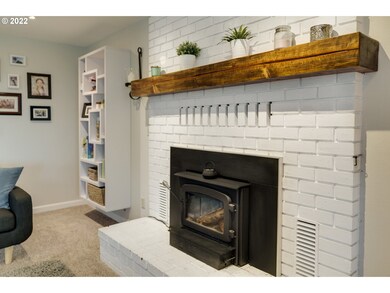Fireplace Wood Burning Stove/Insert