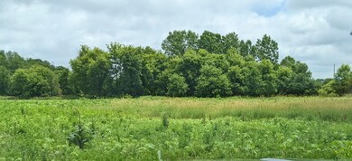 image000000