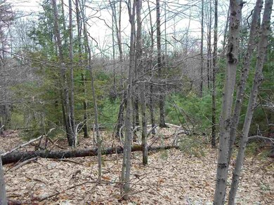 0 Robbins Hill Rd, Chatham, NH 03813 - photo 3
