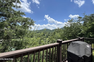 1482 Red Cedar Way Ln, Sevierville, TN 37876 - photo 3