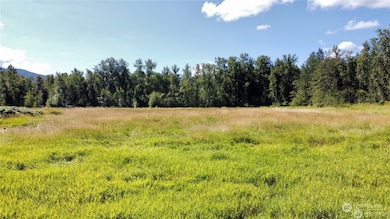 2571 E Smith Rd, Bellingham, WA 98226 - photo 6