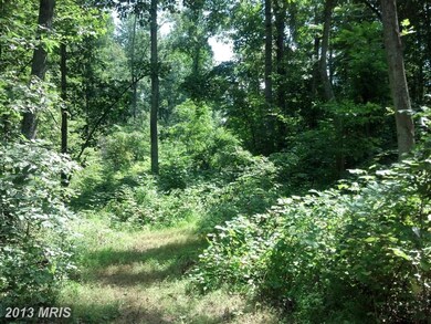 0 Chimney Cir unit 1003681460, Middletown, VA 22645 - photo 7