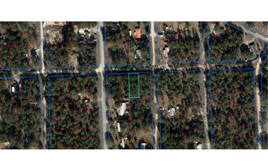 0 NE 67th St unit 129216, Bronson, FL 32621 - photo 2