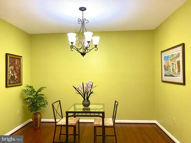 2904 N Leisure World Blvd unit 215, Silver Spring, MD 20906 - photo 4