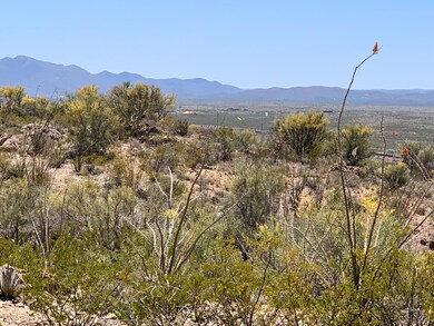 views south