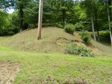 454 Newsome Branch, Virgie, KY 41572 - photo 6