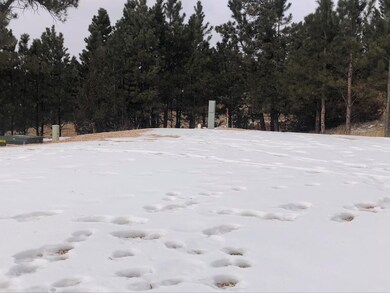 26867 Stage Stop Rd unit Canyon Rim Ranch Pro, Crazy Horse, SD 57730 - photo 7