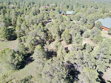 DJI_0072