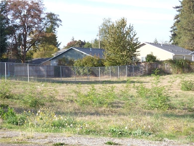 239 170th St E, Spanaway, WA 98387 - photo 6