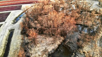 N7050 Highway 12 and 16, Camp Douglas, WI 54618 - photo 7