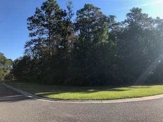 43 Ruddyduck Ct, Brunswick, GA 31523 - photo 2