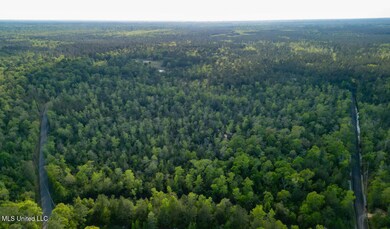 0 Peewee Miller Rd, Lucedale, MS 39452 - photo 4