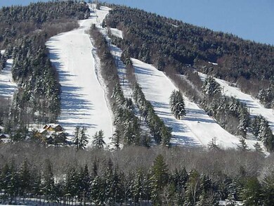 31 Brewster Circle Moose Pond Acc unit 31, Bridgton, ME 04009 - photo 6