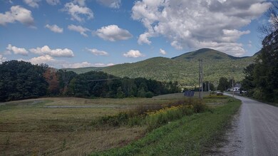 5 Ira Birdseye Rd, Clarendn Springs, VT 05777 - photo 5