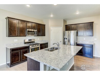 6185 Yellowtail St, Timnath, CO 80547 - photo 4