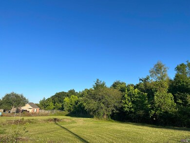 TBD Peter Messina Rd, Addis, LA 70710 - photo 4