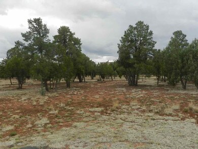 Lot 166 C