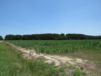 TBD Nc Hwy 71 Hwy, Red Springs, NC 28377 - photo 7