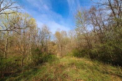 IMG_1294