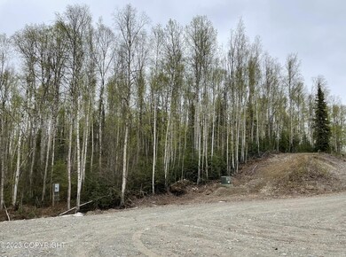 Eagle's Nest Land - SW Corner Cul-de-sac