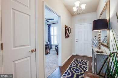 5802 Spring Arbor Ln, Fredericksburg, VA 22407 - photo 5