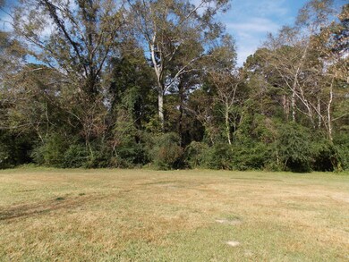 59 Gardner Rd, Laurel, MS 39443 - photo 3