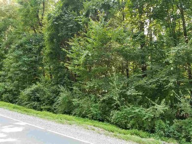 0 Moore Mountain Rd unit 2401556, Baldwin, NC 27312 - photo 4