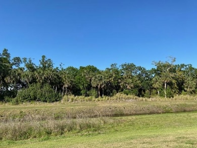 Wooded views, instead of neighbors, behind you!