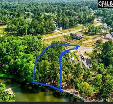 934 Salisbury Ct, Chapin, SC 29036 - photo 2