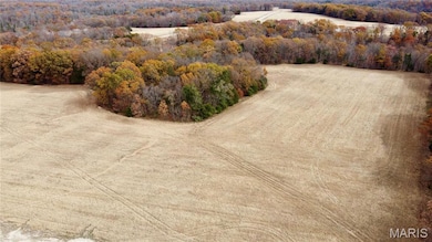 Tract 11 Polston Ln, Hickory Grove Township, MO 63357 - photo 6