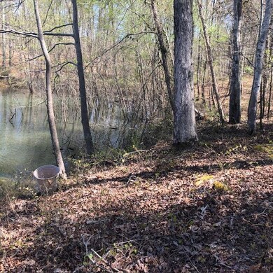 Hard to find this gentle of lots