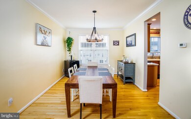 104 Gullane Ct, Stephens City, VA 22655 - photo 5