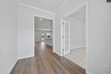 133 Monroe Preserve Ln, Chapin, SC 29036 - photo 4