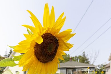 1337 Leonard St NE, Grand Rapids, MI 49505 - photo 4