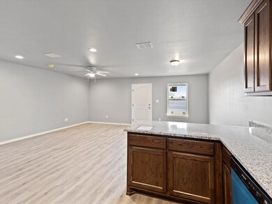 133 Abbey Park Ct, Granbury, TX 76049 - photo 4