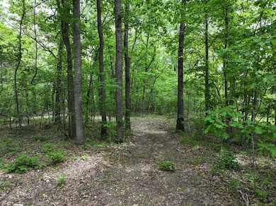 Camp Yocum 3