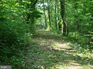 0 Oak Ridge Rd unit VASH121918, Edinburg, VA 22824 - photo 6