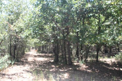 116 Marsh Salt Ct, Springtown, TX 76082 - photo 5