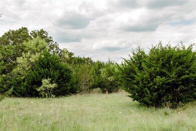 TBD 5 Ox Mill Creek Rd, Weatherford, TX 76087 - photo 6