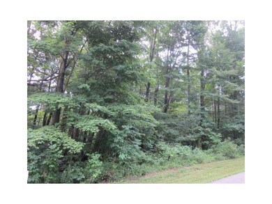 View. Heavily wooded with lots of road frontage.