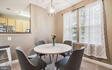 22655 Blue Elder Terrace unit 201, Ashburn, VA 20148 - photo 7