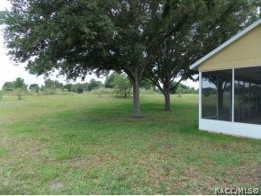 View of Back Yard