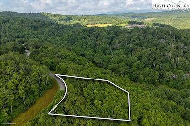 TBD Lot 122 Firethorn Trail, Blowing Rock, NC 28605 - photo 2