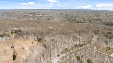 Lot 519-1